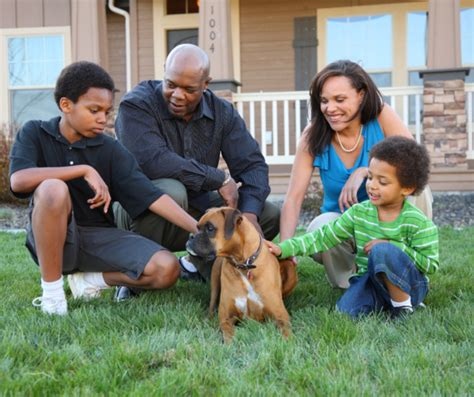 Pet Turf Installation | Menlo Park | CA | 650-609-3028