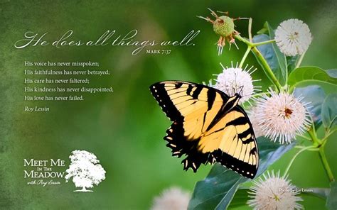 Free download ButterflySmall Roy Lessin FAVORITE QUOTES Pinterest [736x460] for your Desktop ...
