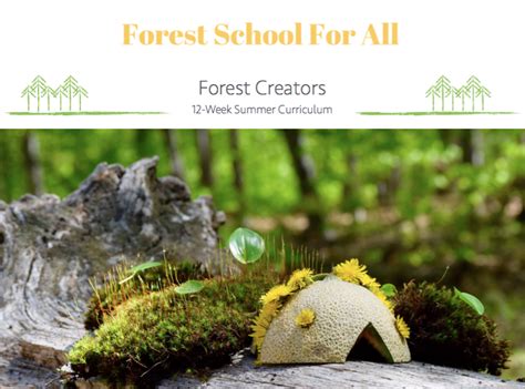 Curriculum - Forest School For All