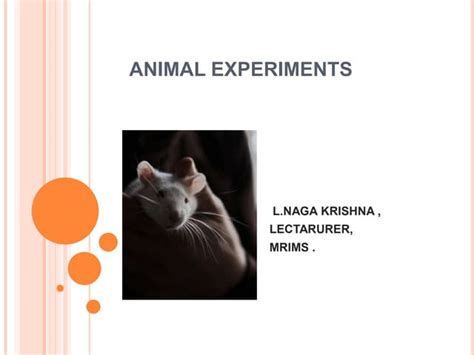 Animal experiments | PPT | Free Download