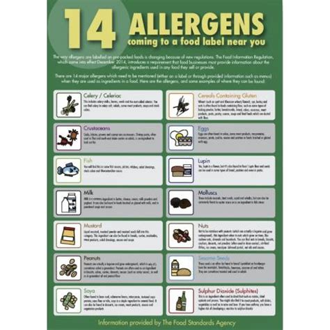 The 14 Allergens Guide for Staff - Self-adhesive Vinyl - A3 - Avica