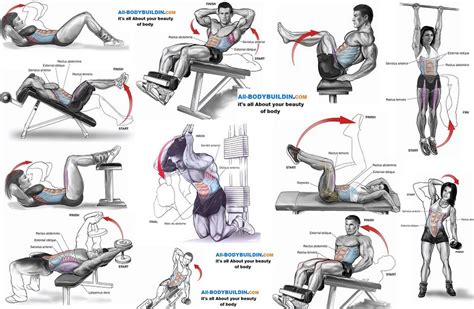 Abdominal Gym Exercises