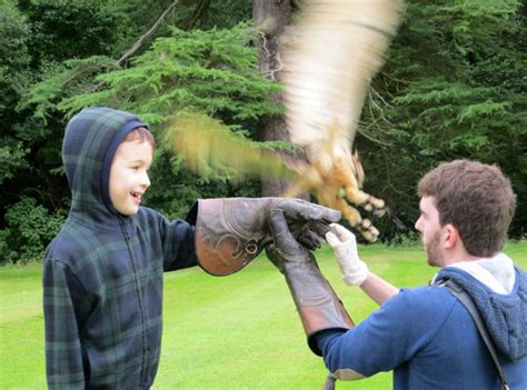 Dalhousie Castle Falconry Review