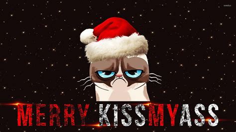 4 Grumpy Cat Christmas, christmas fun HD wallpaper | Pxfuel