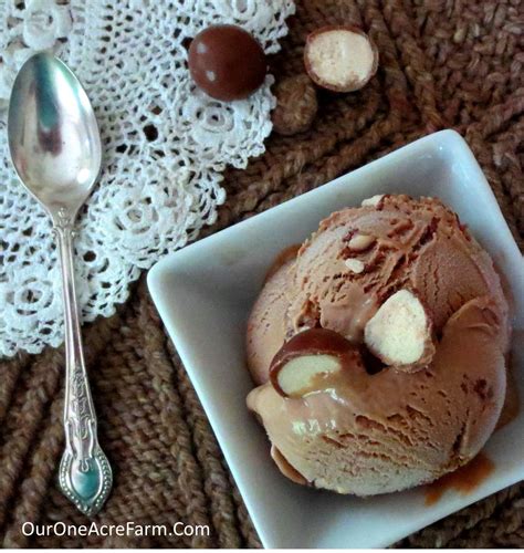 Malted Chocolate Ice Cream