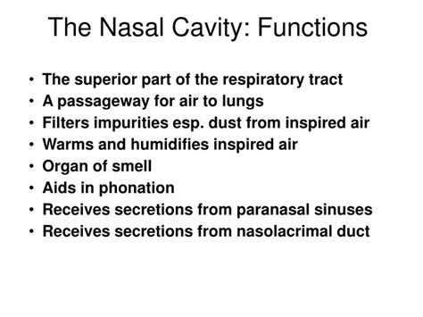 PPT - The Nasal Cavity: Functions PowerPoint Presentation, free download - ID:6024424