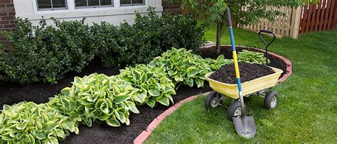 What are the Advantages of Landscaping Maintenance?