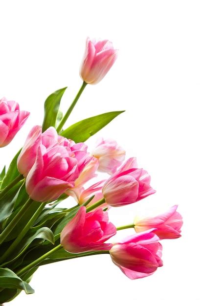 Premium Photo | Bouquet of pink tulips