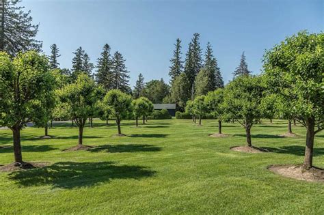 This $18 million historic mansion near Toronto has a tiki bar on the beach