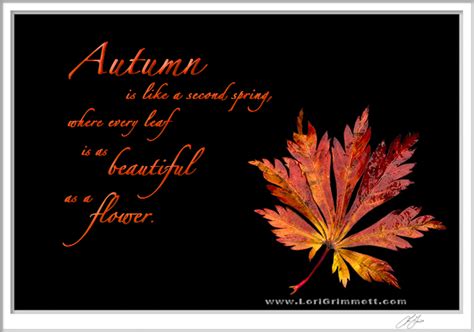 Autumn Leaf Quotes. QuotesGram