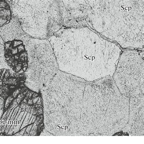 Porphyry-like structure of scapolite gabbro from dike that crosscuts... | Download Scientific ...