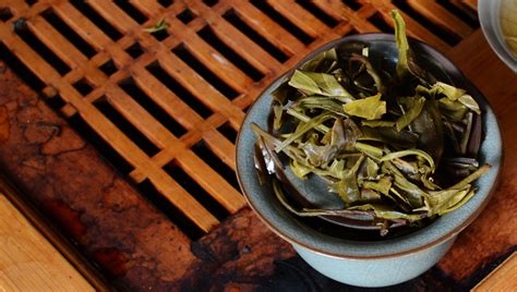 Wu Liang Mountain Puer Tea 2012 (Yunnan Sourcing) - Two Dog Tea Blog