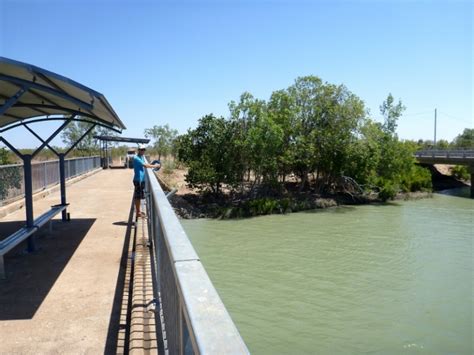 fishing norman river near normanton – outbackjoe