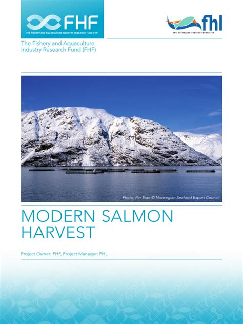 Modern Salmon Farming | PDF | Aquaculture | Fish