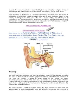 The five senses | PDF