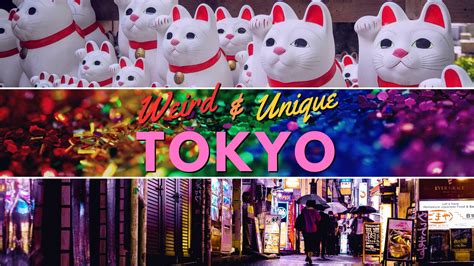 20 Weird and Unique Things To Do In Tokyo - Erika's Travelventures