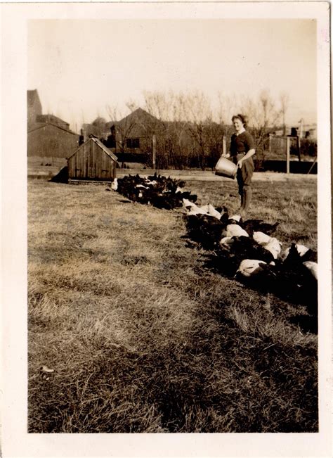 WW2 Photos: Land Girls working in Southport, Lancashire - Women's Land Army