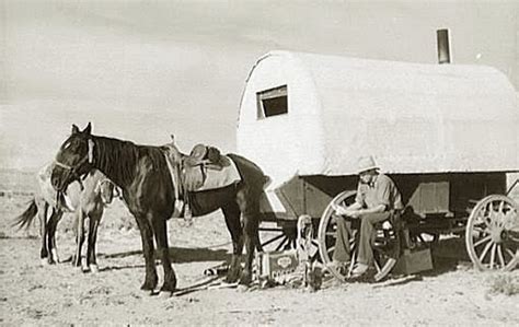 DeltaBluez Stockdogs: Old Sheep Camp Photos