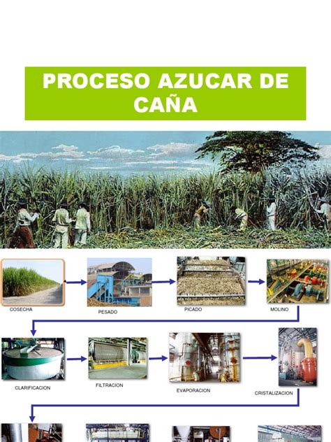 PROCESO AZUCAR DE CAÑA | Azúcar | Nutrición