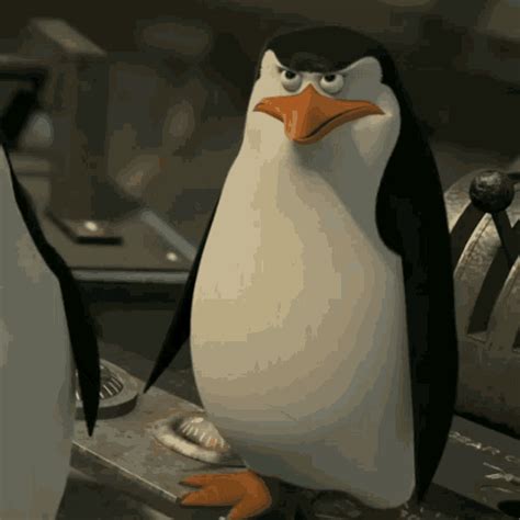 Penguin Of Madagascar GIF - Penguin Of Madagascar - Discover & Share GIFs