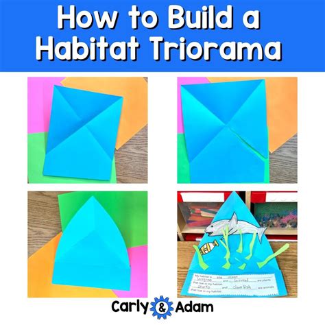 How to Build an Origami Triorama (Step by Step Guide) — Carly and Adam