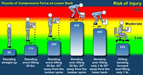 Pounds of Compressive Force on Lower Back / Risk of Injury : Infographics