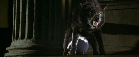 Horror Movie Review: Wolfen (1981) - GAMES, BRRRAAAINS & A HEAD-BANGING ...