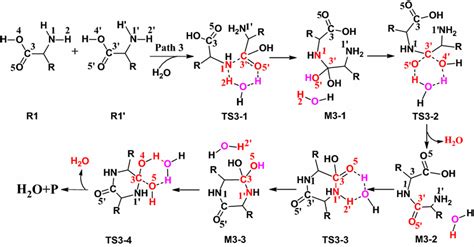 Cyclization reaction mechanism of amino acid for Path 3 | Download ...