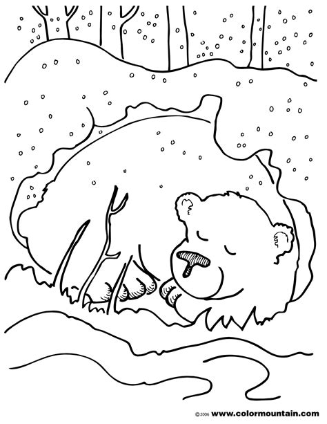 Winter Animal Coloring Page - 318+ SVG PNG EPS DXF in Zip File