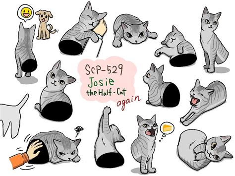 SCP-529 Josie the Half-Cat again【2021】