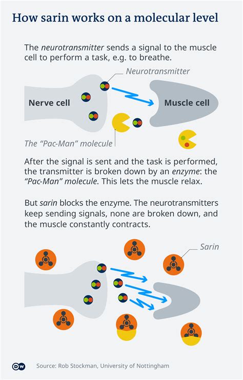 Sarin Gas Effects