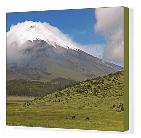 Print of Snow-covered summit of Cotopaxi volcano rises from a cloud ...