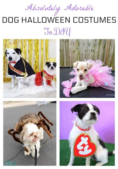 Adorable Dog Halloween Costumes To DIY That Are Budget-Friendly