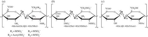 Heparan sulfate - Alchetron, The Free Social Encyclopedia