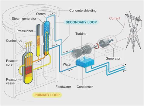 How Does a Nuclear Energy Plant Generate Electricity?