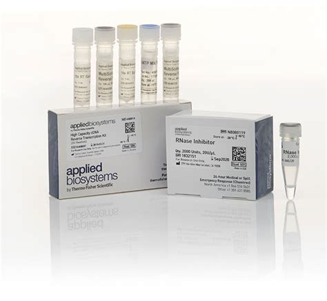 Applied Biosystems™ High-Capacity cDNA Reverse Transcription Kit with RNase Inhibitor 1000 ...