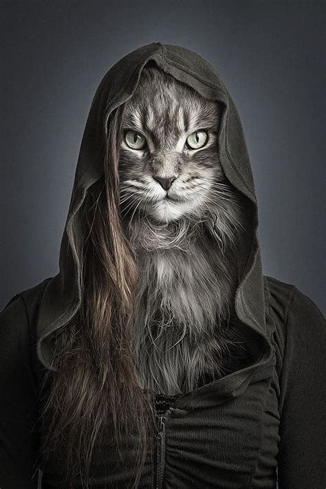 Funny Portraits Of Cats Dressed As Their Owners - DesignTAXI.com ...