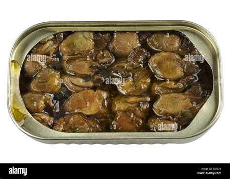 Canned Smoked Oysters Stock Photo - Alamy