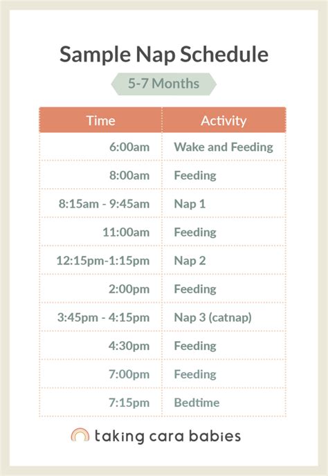 Nap Schedules: 5 Months to 24 Months | Taking Cara Babies