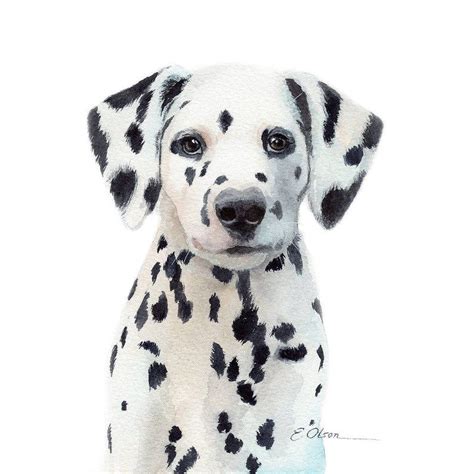 Watercolor Dalmatian puppy Dalmatian art print PRINTABLE | Etsy ...