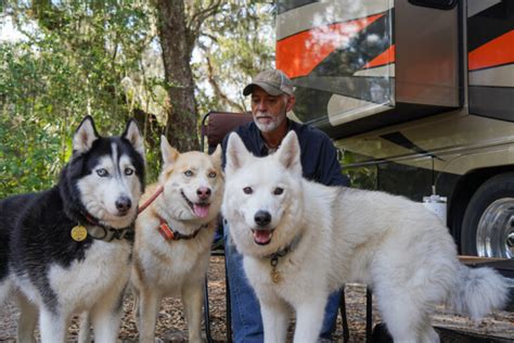 About the Natural Instinct Method - Natural Instinct Dog Training