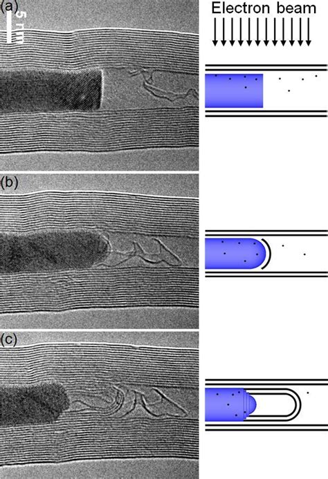 Carbon Nanotube Synthesis and Growth Mechanism | IntechOpen