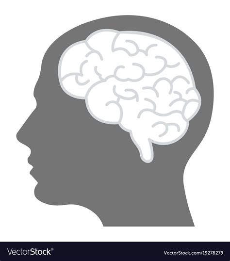 Human brain Royalty Free Vector Image - VectorStock