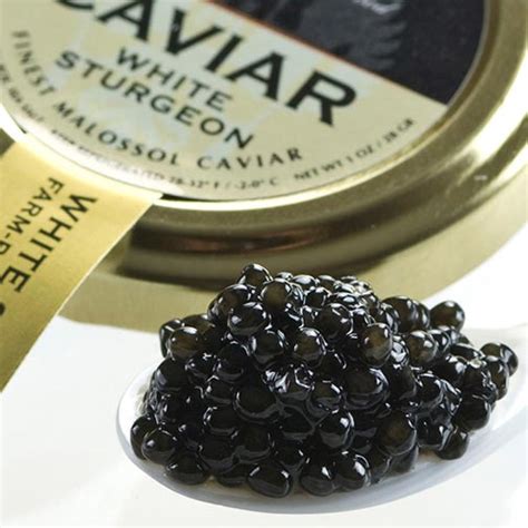 American White Sturgeon Caviar Malossol - buy caviar online at Gourmet Food World