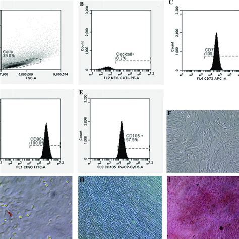 The specific cell surface markers analysis within the plotting cells... | Download Scientific ...