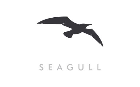 Seagull bird illustration logo vector design eps 10