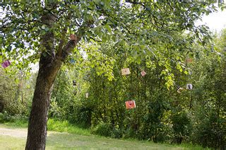 The Family Tree | Bob and Brynn's Tie Dyed Wedding | FairbanksMike | Flickr