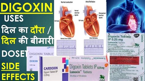 DIGOXIN TABLET 0.25 MG/LANOXIN TABLET 0.25MG/LANOXIN USE IN HINDI/DOSE ...