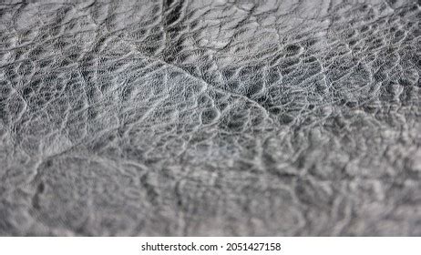 Black Shiny Leather Texture Surface Stock Photo 2051427158 | Shutterstock