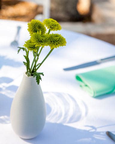 Mastering Chrysanthemum Care: Tips for Prolonging Vase Life – Amaranth Vases